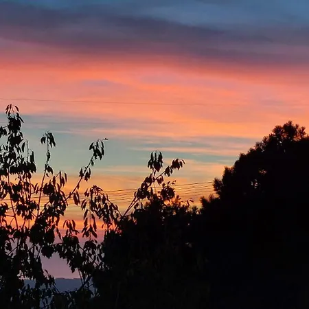 Bellavista Versilia *