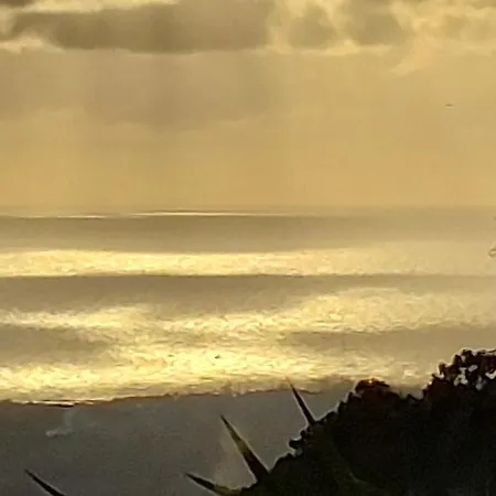 Bellavista Versilia Frühstückspension